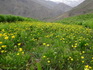 AbouHamzehSaberi1393 (1)_resize.jpg